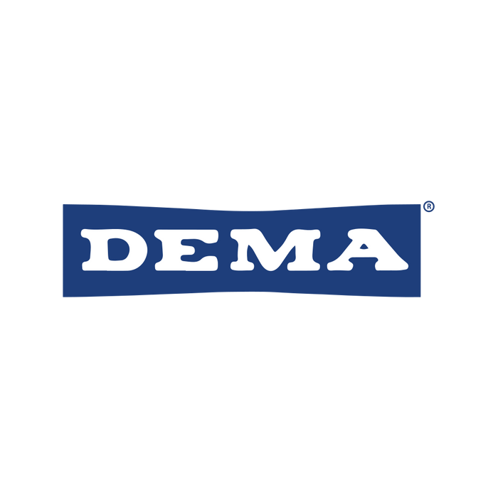 DEMA Stainless Steel Foot Valve, 1/4"